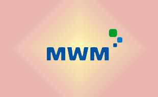 ✓ MWM 2931736 Комплект прокладок ДВС 